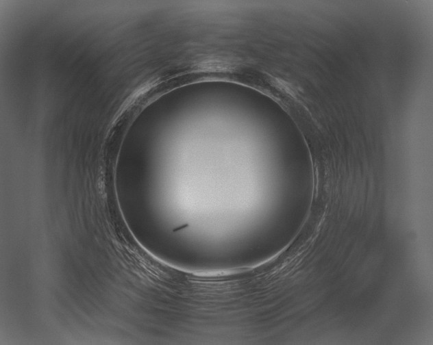 X0000054391307200507291133