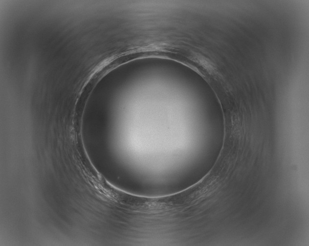 X0000054391308200507291133