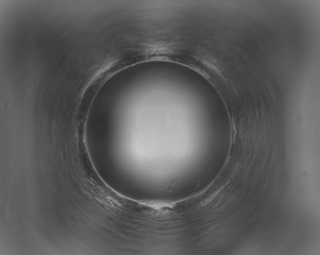 X0000054391309200507291133