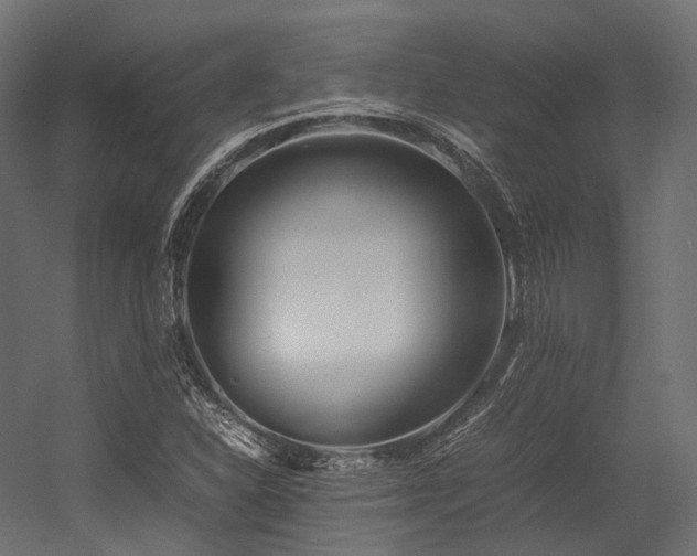 X0000054391310200507291133