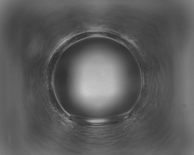 X0000054391311200507291133