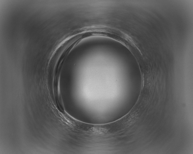 X0000054391312200507291133
