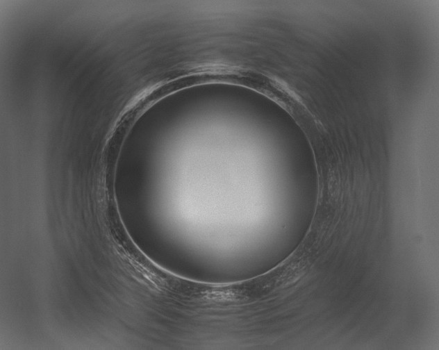 X0000054391315200507291133