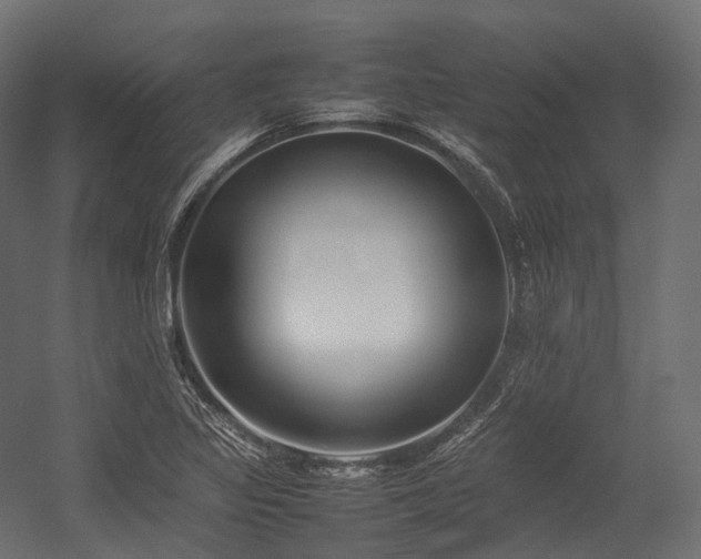 X0000054391317200507291133