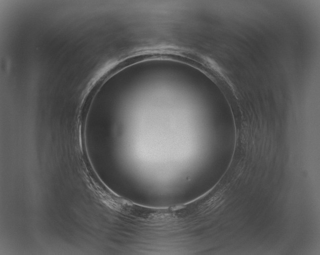 X0000054391320200507291133