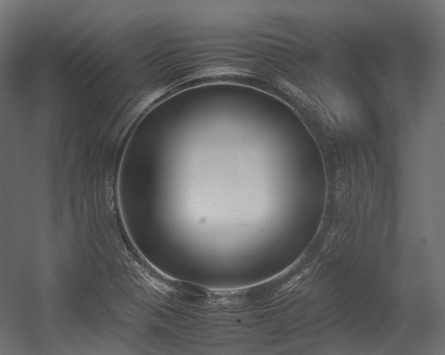 X0000054391321200507291133