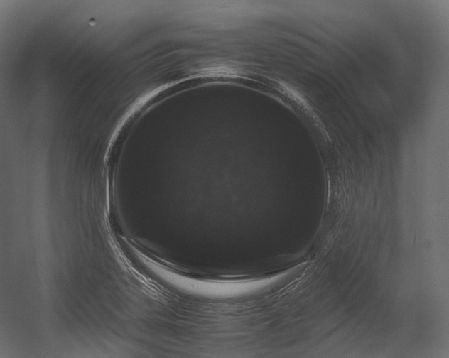 X0000054391323200507291133