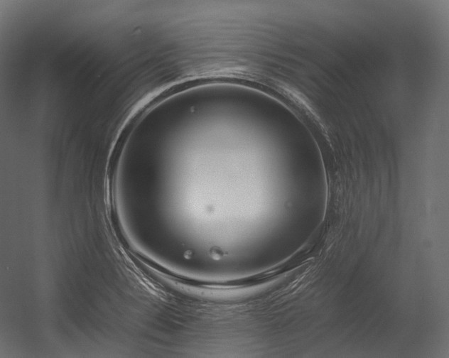 X0000054391324200507291133
