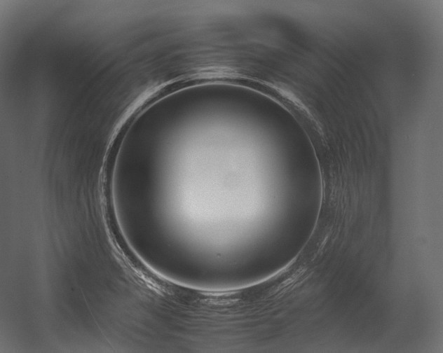 X0000054391325200507291133