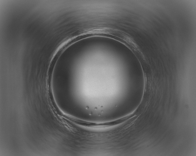 X0000054391328200507291133