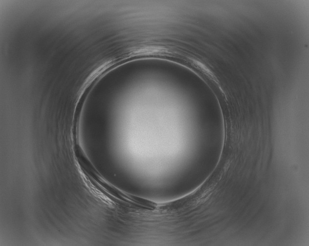 X0000054391330200507291133