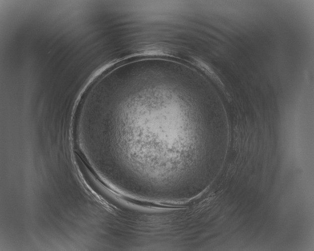 X0000054391331200507291133
