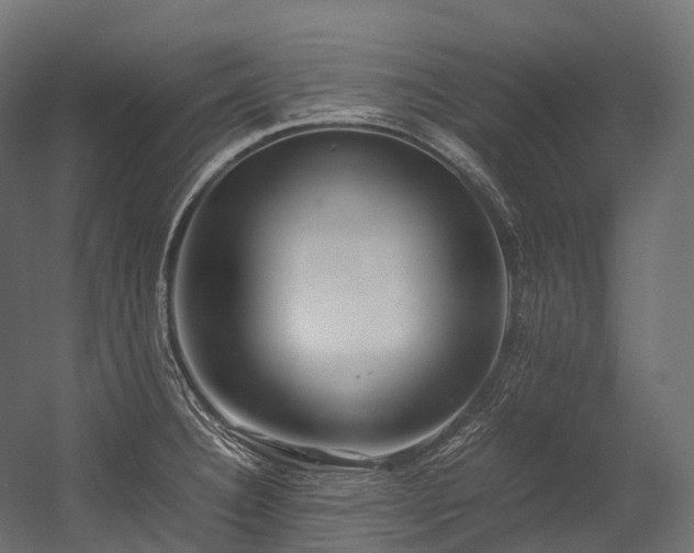 X0000054391332200507291133