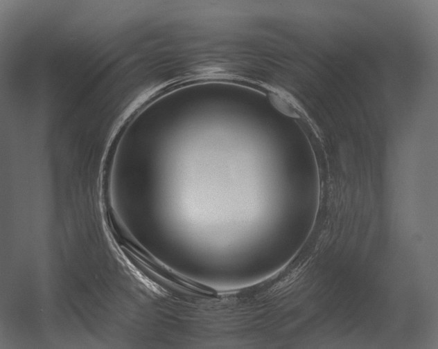 X0000054391333200507291133
