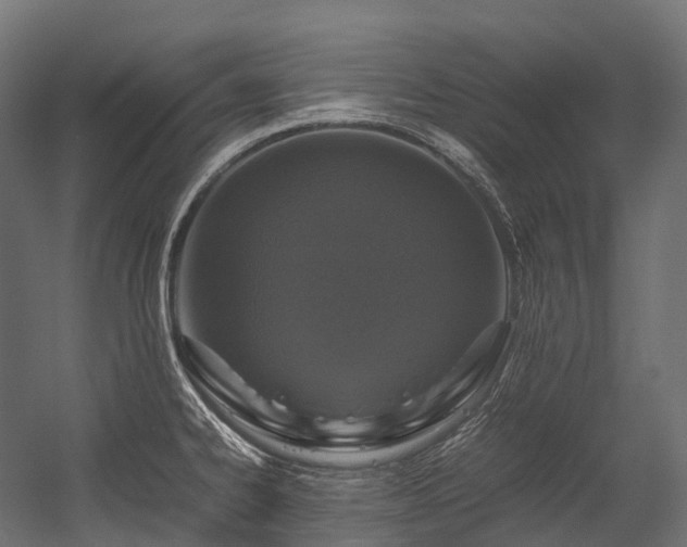 X0000054391334200507291133