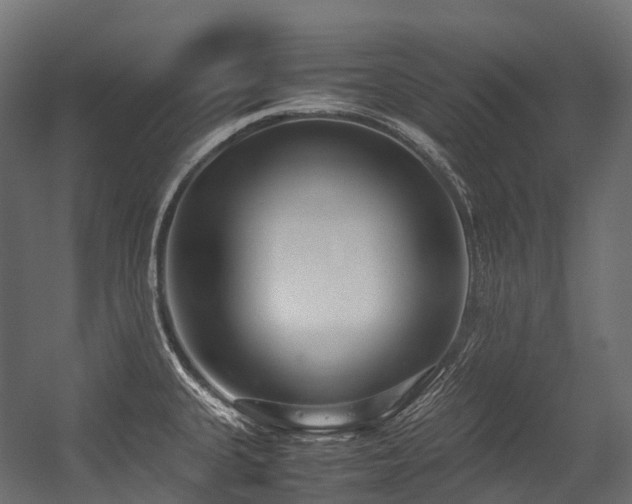 X0000054391335200507291133
