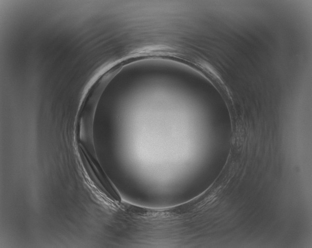 X0000054391336200507291133