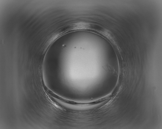 X0000054391337200507291133