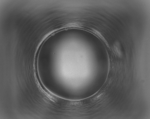 X0000054391339200507291134