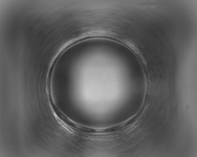 X0000054391342200507291134