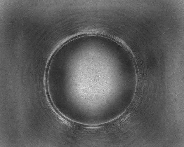 X0000054391343200507291134