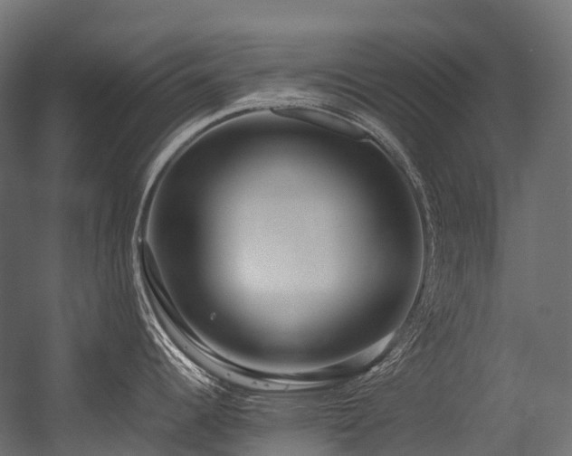 X0000054391344200507291134