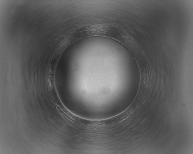 X0000054391346200507291133