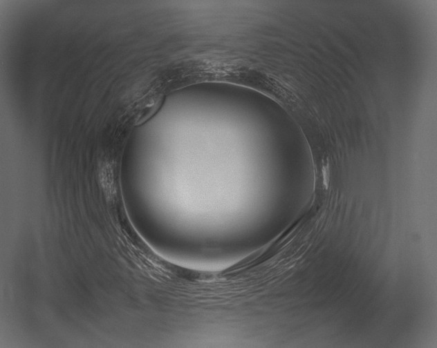 X0000054391347200507291133
