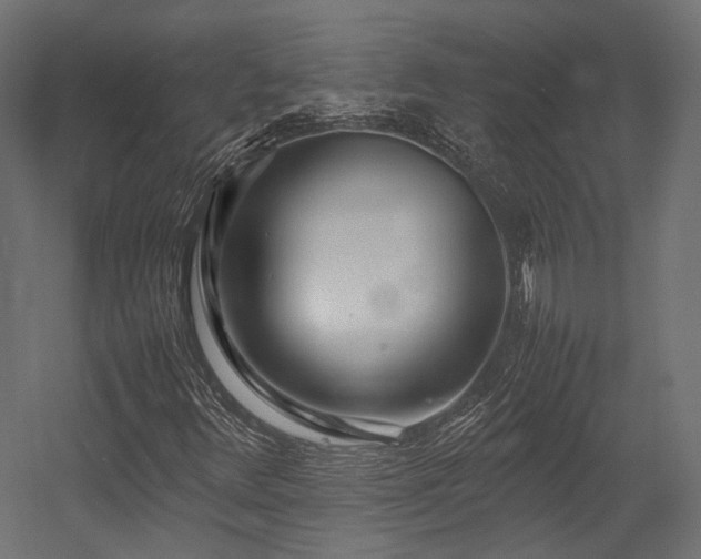 X0000054391348200507291133