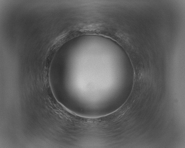 X0000054391350200507291133