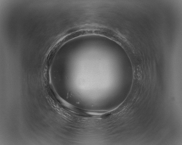 X0000054391352200507291133