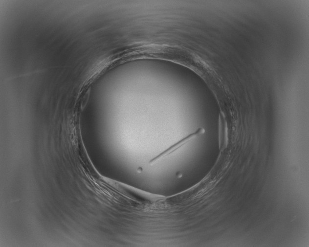 X0000054391354200507291133