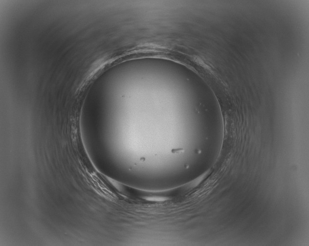 X0000054391355200507291133