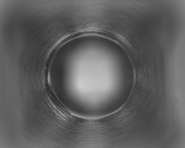 X0000054391356200507291133