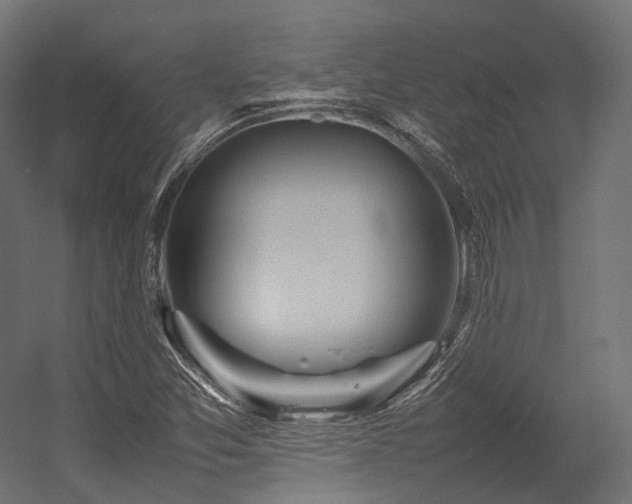 X0000054391357200507291133