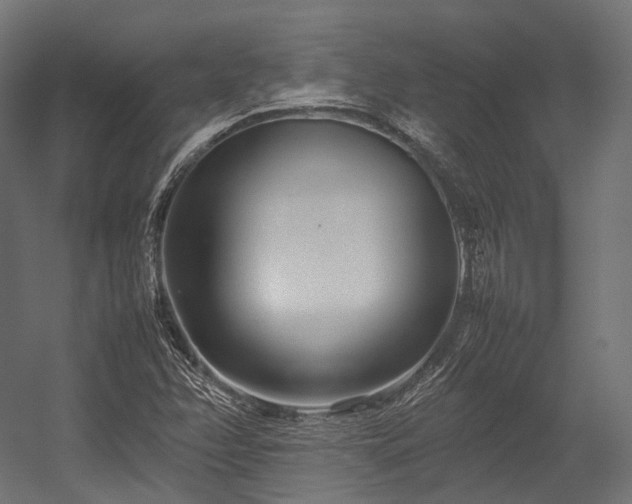 X0000054391358200507291133