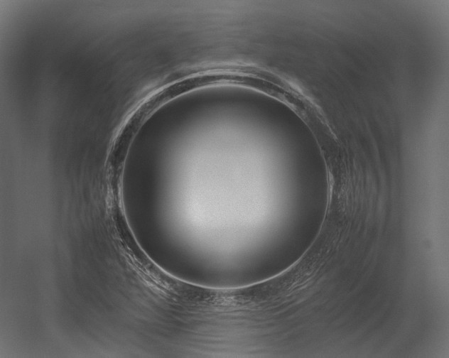 X0000054391360200507291133