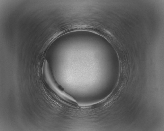 X0000054391361200507291133