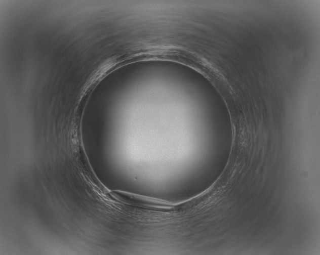 X0000054391362200507291132