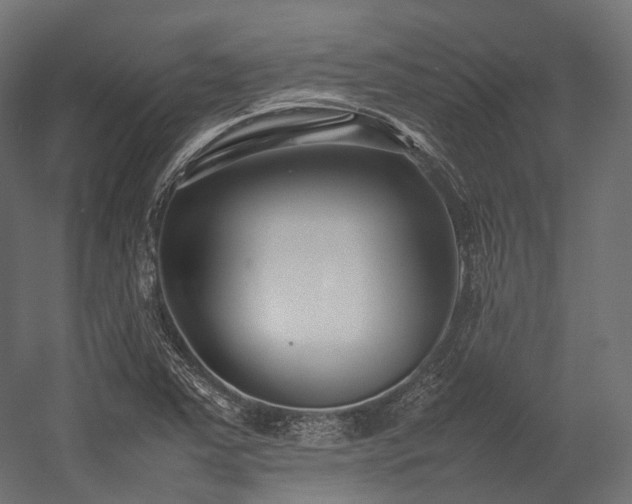 X0000054391363200507291132