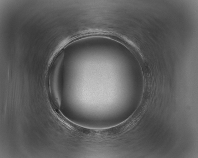 X0000054391365200507291132