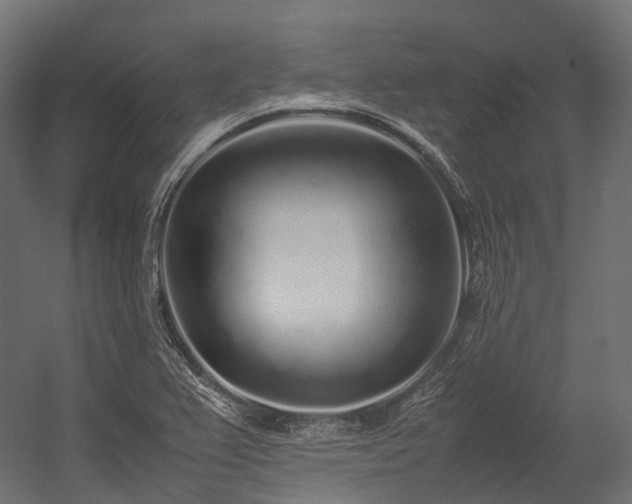 X0000054391367200507291132