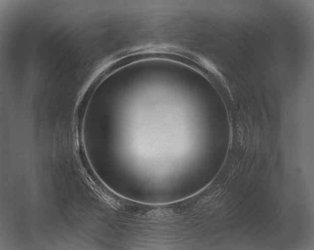 X0000054391368200507291132