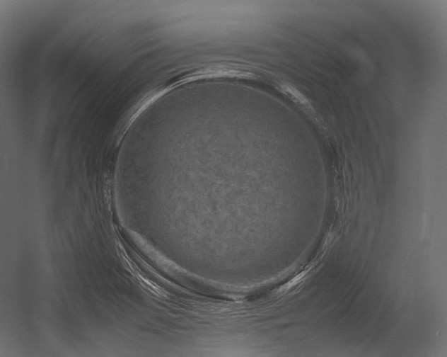 X0000054391369200507291132