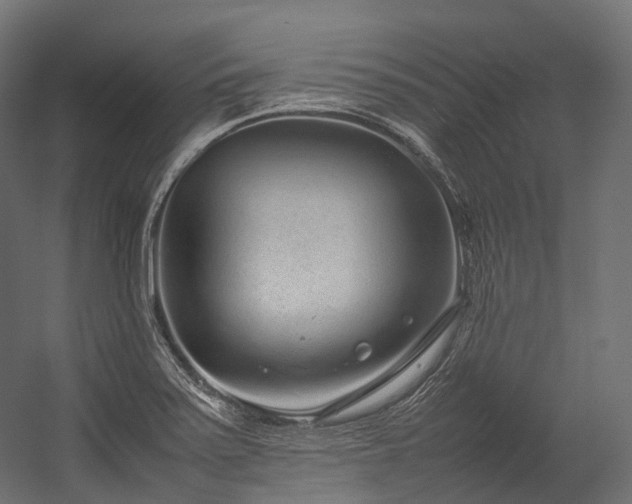 X0000054391371200507291132