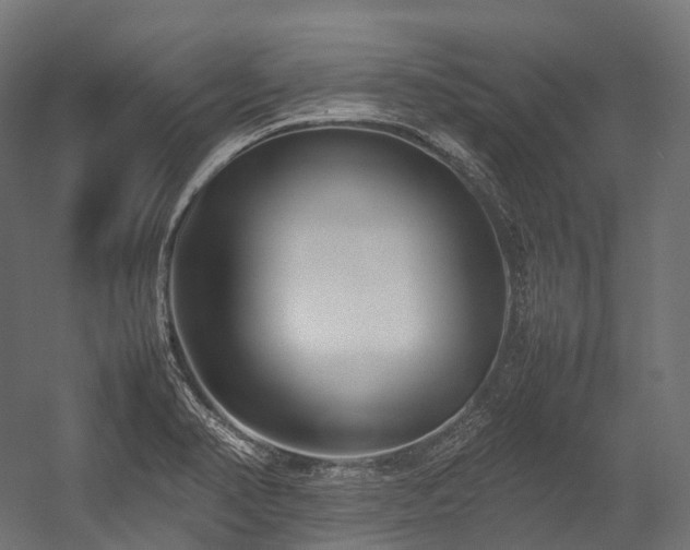 X0000054391374200507291132