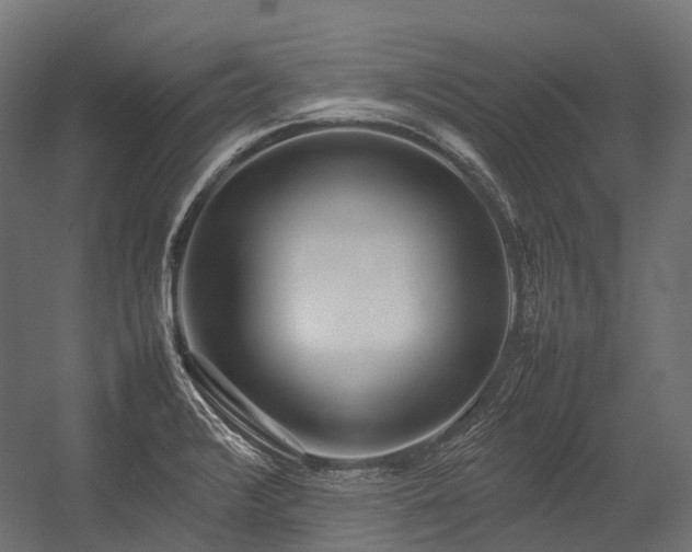 X0000054391376200507291132