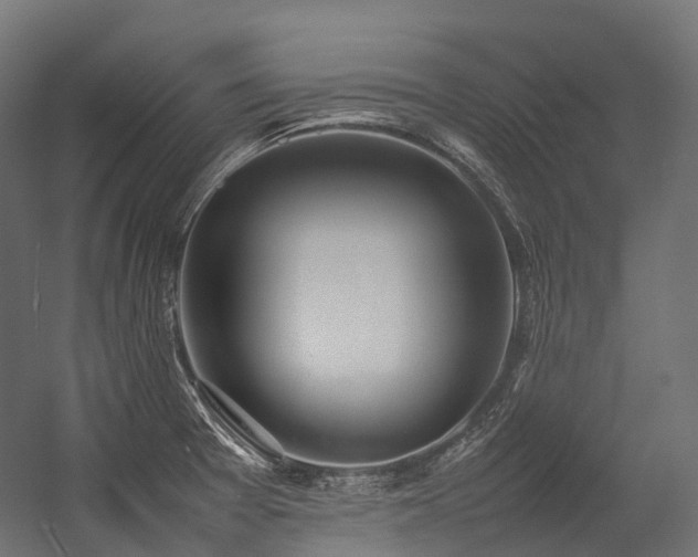 X0000054391377200507291132