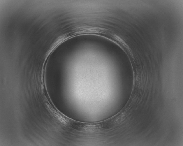 X0000054391378200507291132