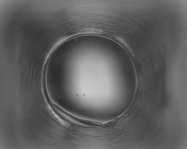 X0000054391379200507291132